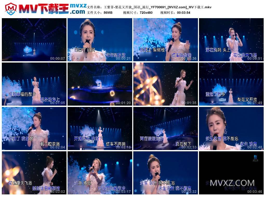 王紫菲-梨花又开放_国语_流行_YF700691